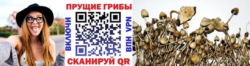Купить где  Рыбное  Псилоцибиновые грибы Magic Shrooms 